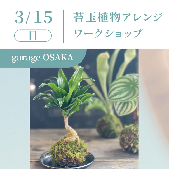 チケットタイトル